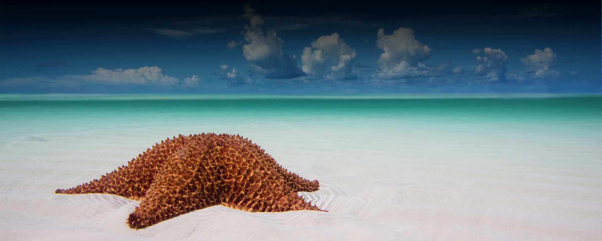Nurture and Nature Show at Eleven Spa – Delray Beach, FL