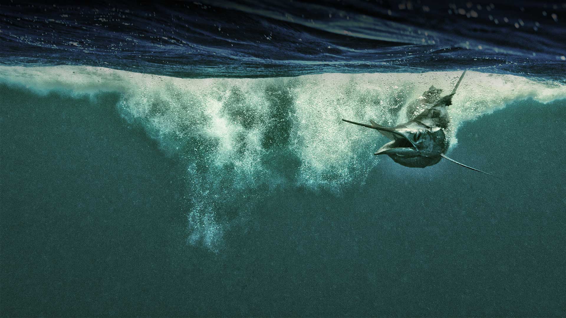 Under the Waves and Against the Sword with Kevin Dodge